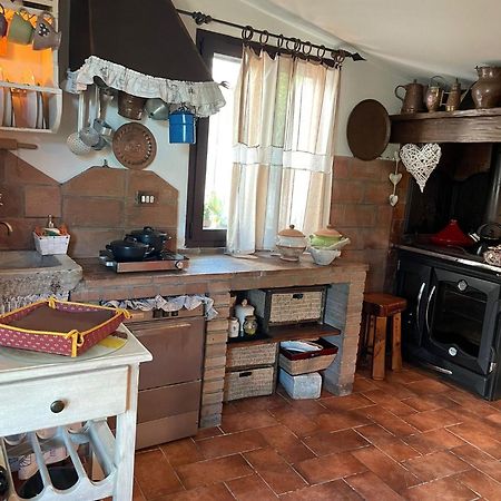 Вілла La Casina Di Simo Montenero  Екстер'єр фото